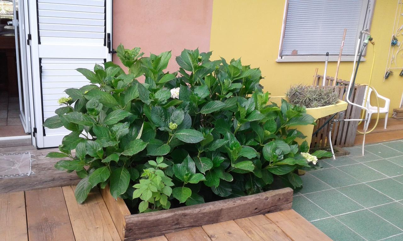 Il Tarlo Bed & Breakfast Seneghe ภายนอก รูปภาพ